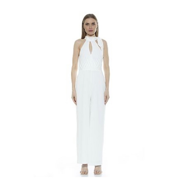 NWT ALEXIA ADMOR Wide-Leg Halter Jumpsuit Size 10 - Picture 1 of 9